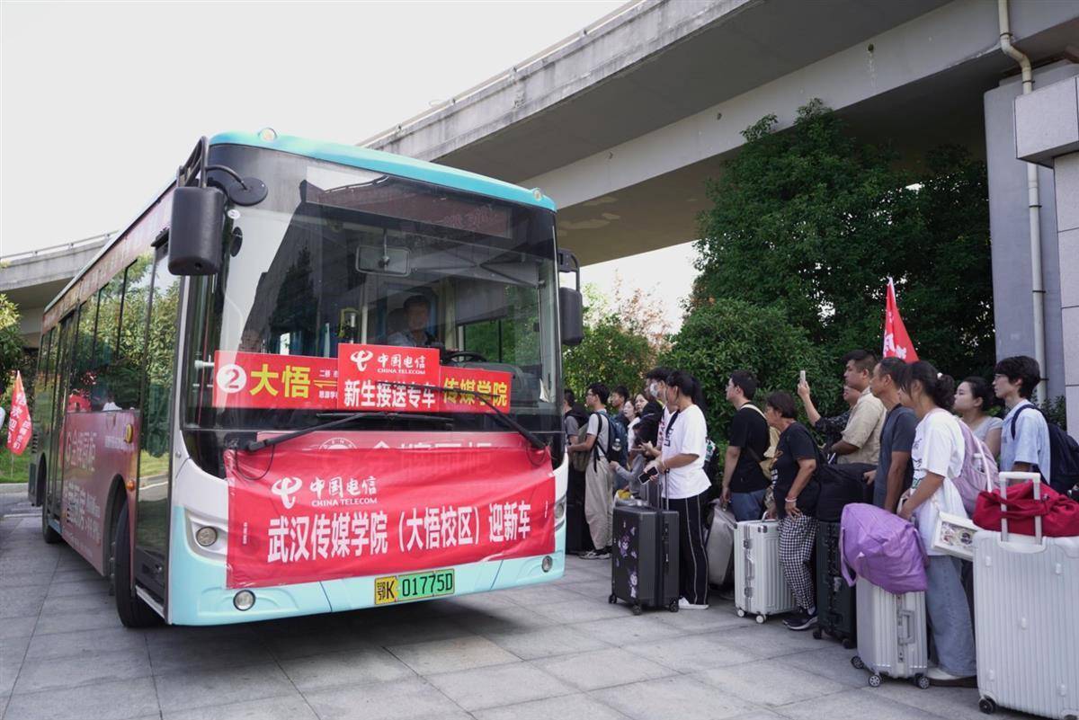 12博备用